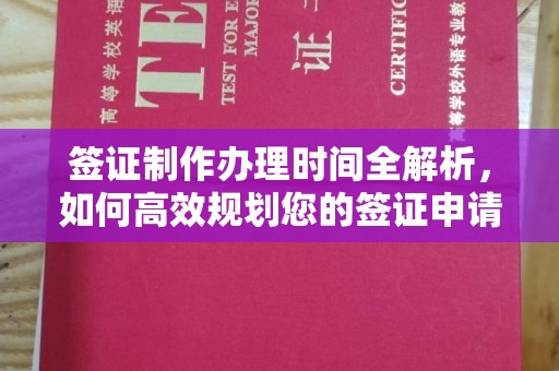沙坡头签证制作办理时间全解析，如何高效规划您的签证申请流程