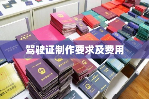 沙坡头驾驶证制作要求及费用