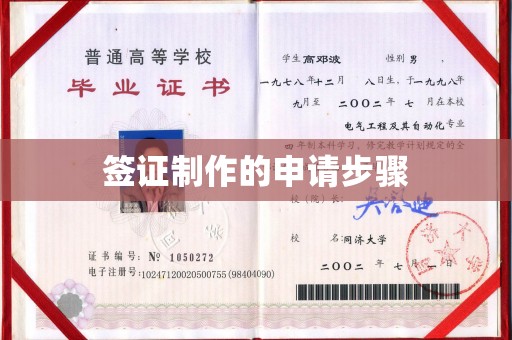 沙坡头签证制作的申请步骤