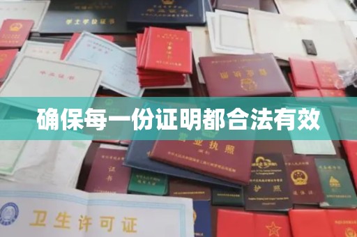 沙坡头确保每一份证明都合法有效