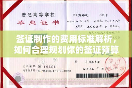 沙坡头签证制作的费用标准解析，如何合理规划你的签证预算