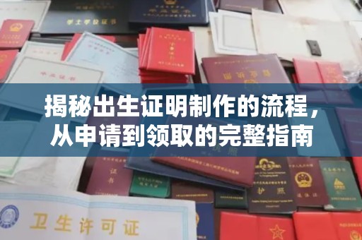 沙坡头揭秘出生证明制作的流程，从申请到领取的完整指南