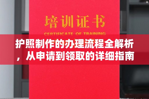 沙坡头护照制作的办理流程全解析，从申请到领取的详细指南