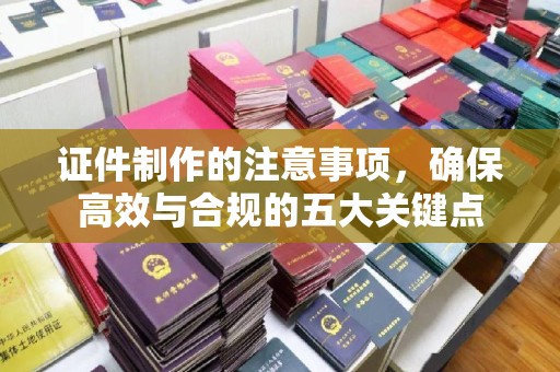 沙坡头证件制作的注意事项，确保高效与合规的五大关键点