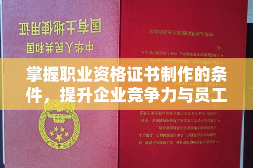 沙坡头掌握职业资格证书制作的条件，提升企业竞争力与员工专业素养