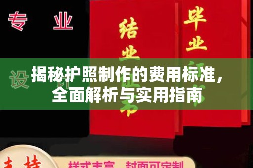 沙坡头揭秘护照制作的费用标准，全面解析与实用指南