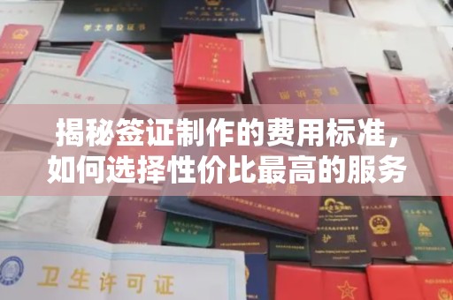 沙坡头揭秘签证制作的费用标准，如何选择性价比最高的服务？