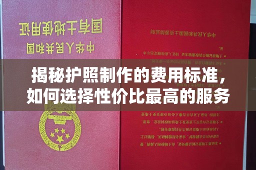 沙坡头揭秘护照制作的费用标准，如何选择性价比最高的服务？
