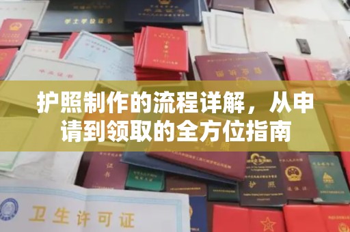 沙坡头护照制作的流程详解，从申请到领取的全方位指南