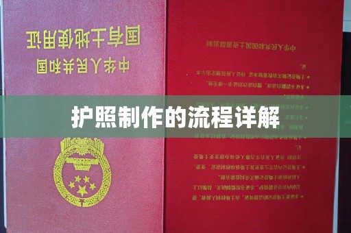 沙坡头护照制作的流程详解