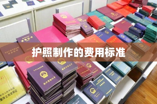 沙坡头护照制作的费用标准