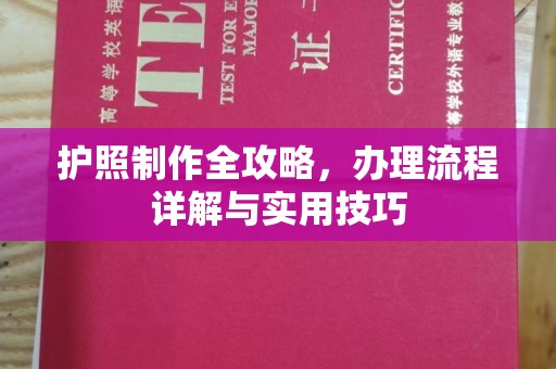 沙坡头护照制作全攻略，办理流程详解与实用技巧